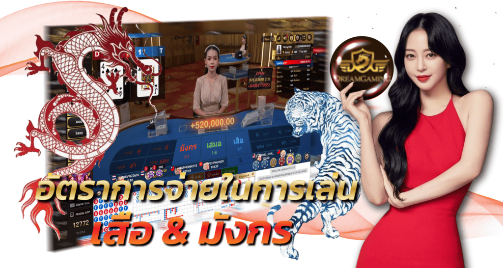 อัตราการจ่ายในการเล่นเสือ&มังกร 